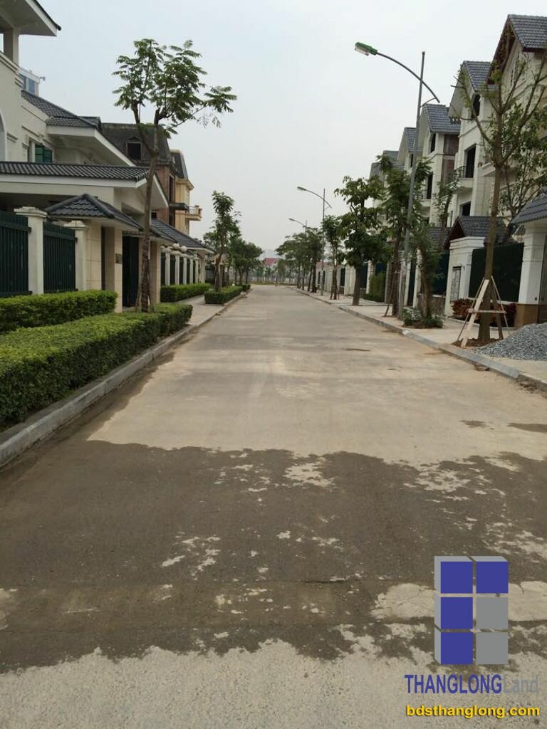 Thiết kế biệt thự dương nội